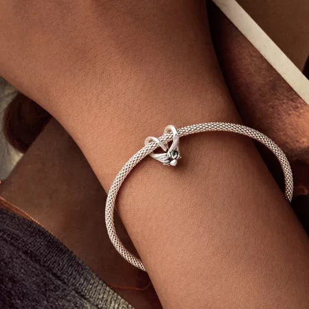 PANDORA 风格挂钩协议串饰 - SCC2851