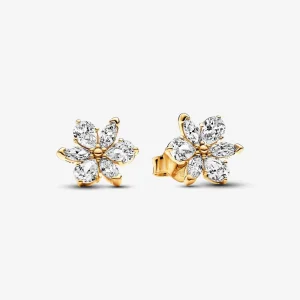 (image for) Pandora Sparkling Herbarium Cluster Stud Earrings - 262633C01