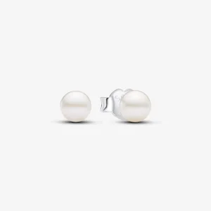 (image for) Pandora Treated Freshwater Cultured Pearl 4.5mm Stud Earrings - 293168C01