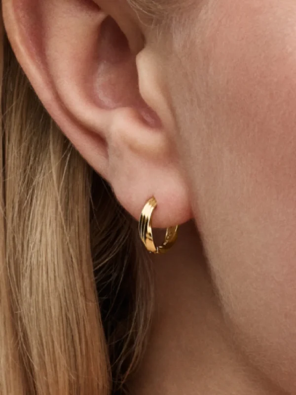 (image for) Pandora Twisted Huggie Earrings - 263871C00 - View 2
