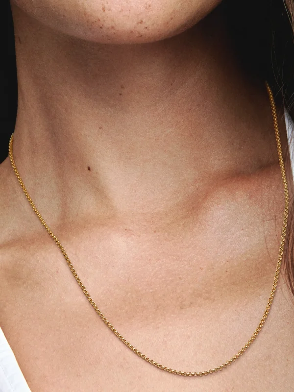 (image for) Pandora Rolo Chain Necklace - 369260C00 - View 2