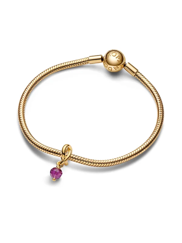 (image for) Pandora Faceted Purple Eternity Circle Dangle Charm - 763462C02 - View 3