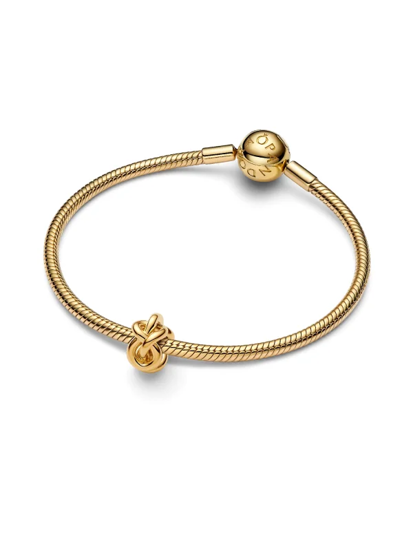 (image for) Pandora Infinity Knot Charm - 763755C00 - View 5