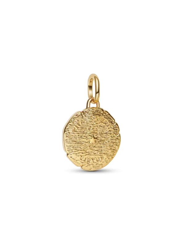 (image for) PANDORA Lion Charm 763974C01 | 14k Gold-Plated Medallion - View 6