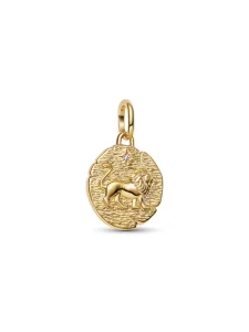 (image for) Pandora Lion Medallion Charm - 763974C01