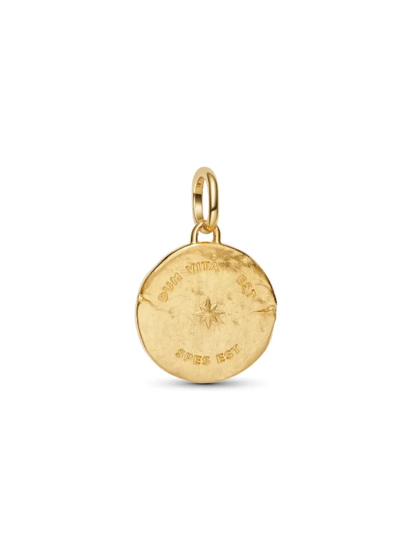 (image for) PANDORA Swallow Charm 764082C01 | 14k Gold-Plated Medallion - View 6