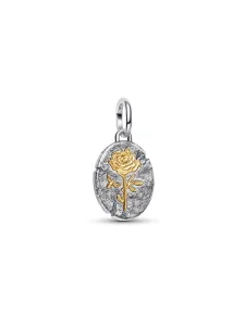 (image for) Pandora Rose Medallion Charm - 764087C00