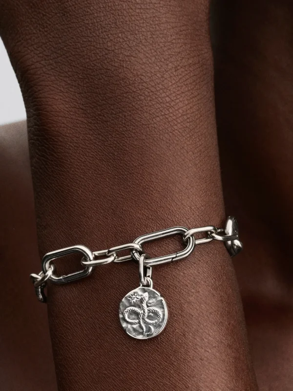 (image for) Pandora Infinity Snake Medallion Charm - 793976C01 - View 2