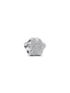 (image for) Pandora Textured Paw Mini Charm - 794043C00