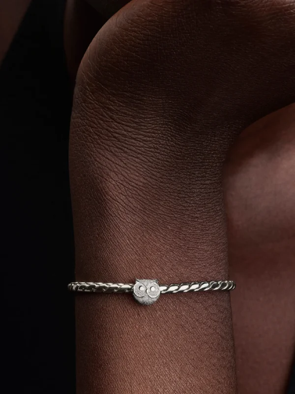 (image for) Pandora Textured Owl Mini Charm - 794525C00 - View 2