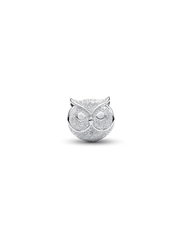 (image for) Pandora Textured Owl Mini Charm - 794525C00 - View 6