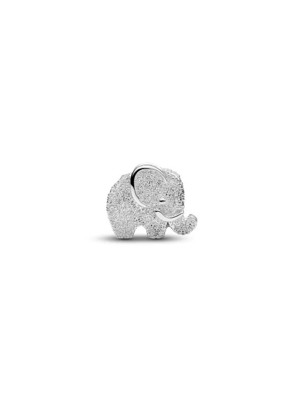 (image for) PANDORA Jewelry Piece - Timeless Design Charm 791043C01 - View 3