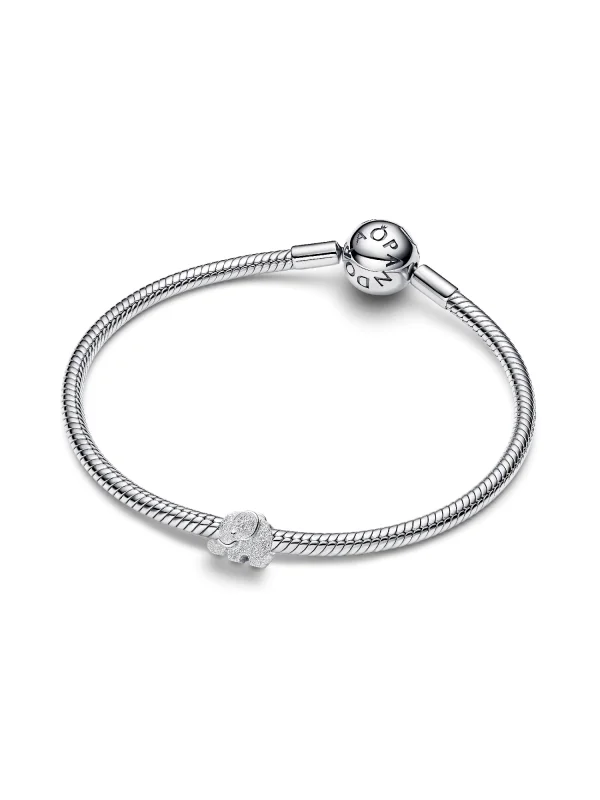 (image for) PANDORA Jewelry Piece - Timeless Design Charm 791043C01 - View 5