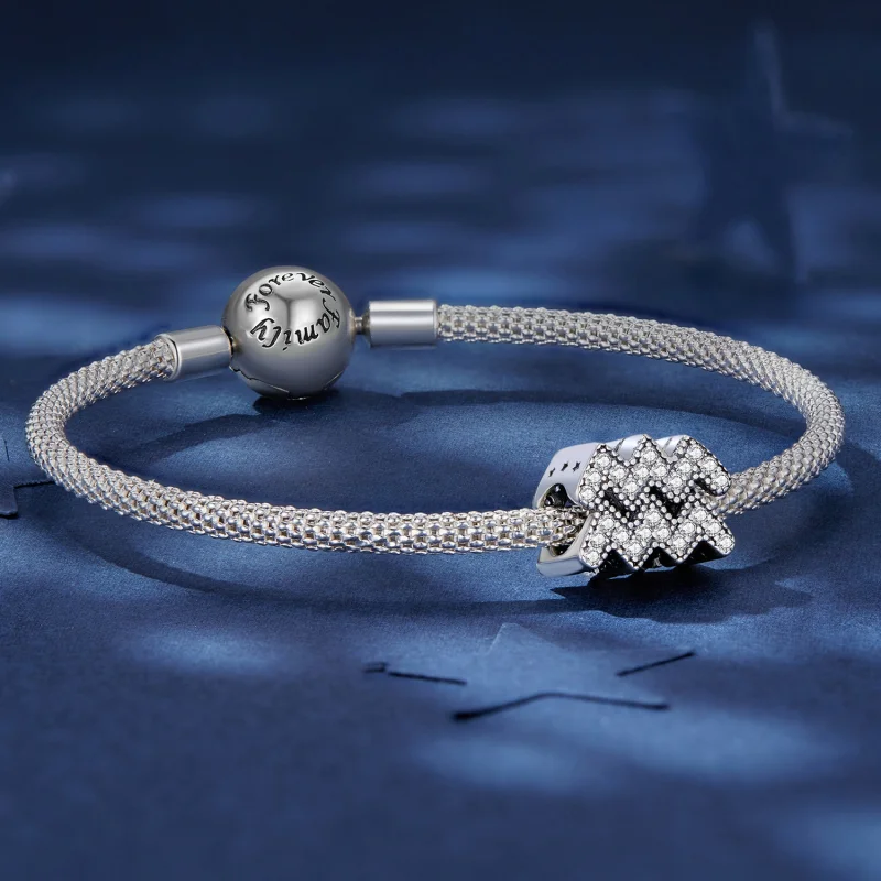 (image for) Pandora Style Aquarius Lucky Zodiac Charm - SCC2516-12 - View 5