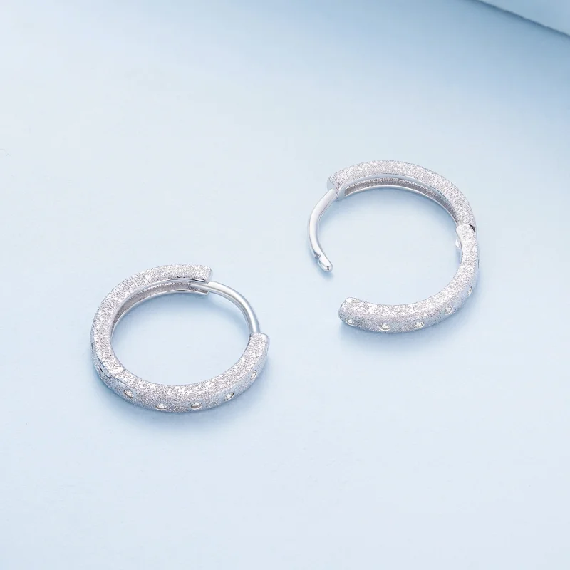 (image for) Pandora Style Geometric Flash Hoops Earrings - BSE848 - View 4