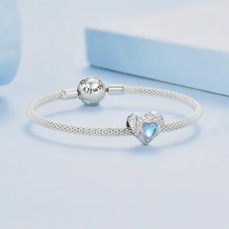 Pandora Style Guardian of The Heart Charm - BSC867