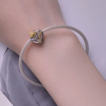 Pandora Style Sisters Charm - BSC841