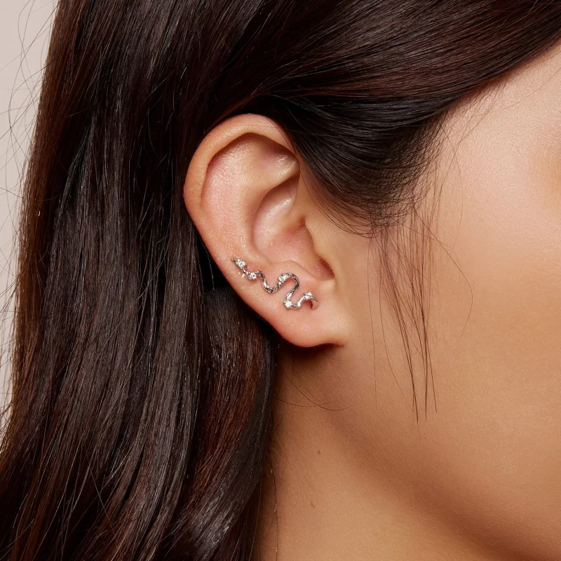 (image for) Pandora Style Texture Lines Stud Earrings - SCE1599 - View 6