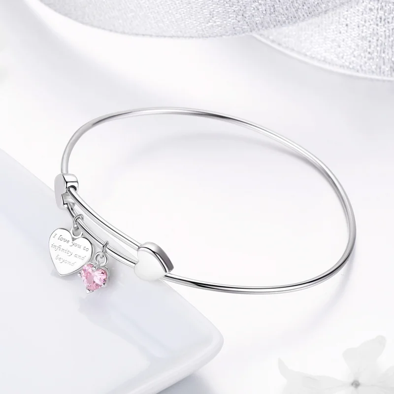 (image for) Pandora Style Silver Love Promise Charm Entwined Slider Bangle - SCB124 - View 3