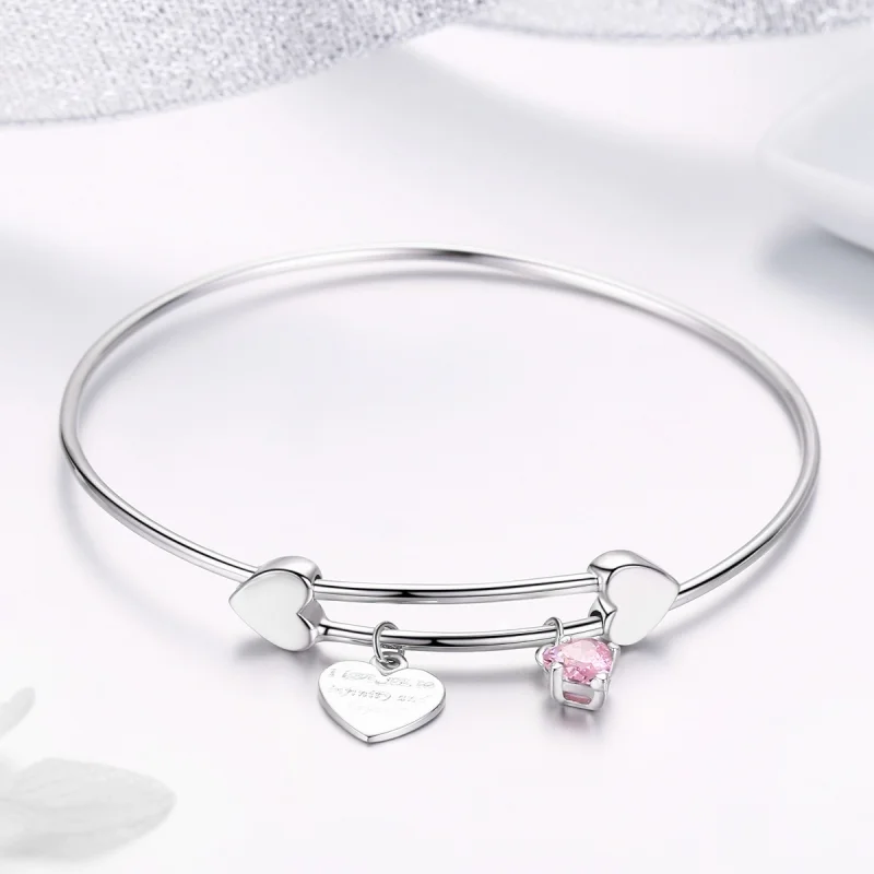 (image for) Pandora Style Silver Love Promise Charm Entwined Slider Bangle - SCB124 - View 4