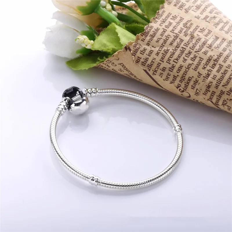 (image for) PANDORA Wonderful World Bracelet - PE00045-1 - View 3