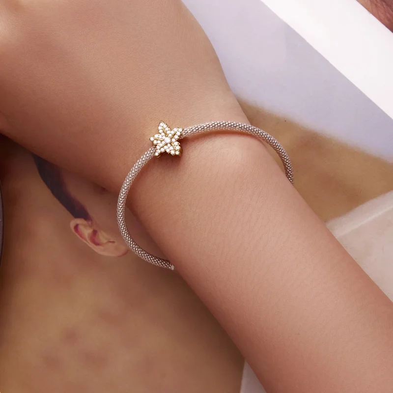 (image for) Pandora Style Maple Leaf Charm - BSC673 - View 6