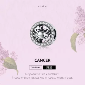 Pandora Style Silver Cancer Charm - SCC1213 Pandora Style Silver Cancer Charm - SCC1213
