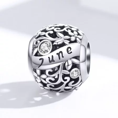 Pandora Style Silver June Birthstone Charm - SCC1385-6