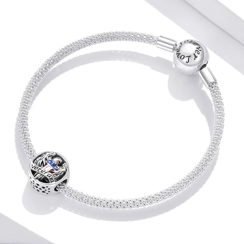 (image for) Pandora Style Silver Veteran Charm - SCC1885 - View 3