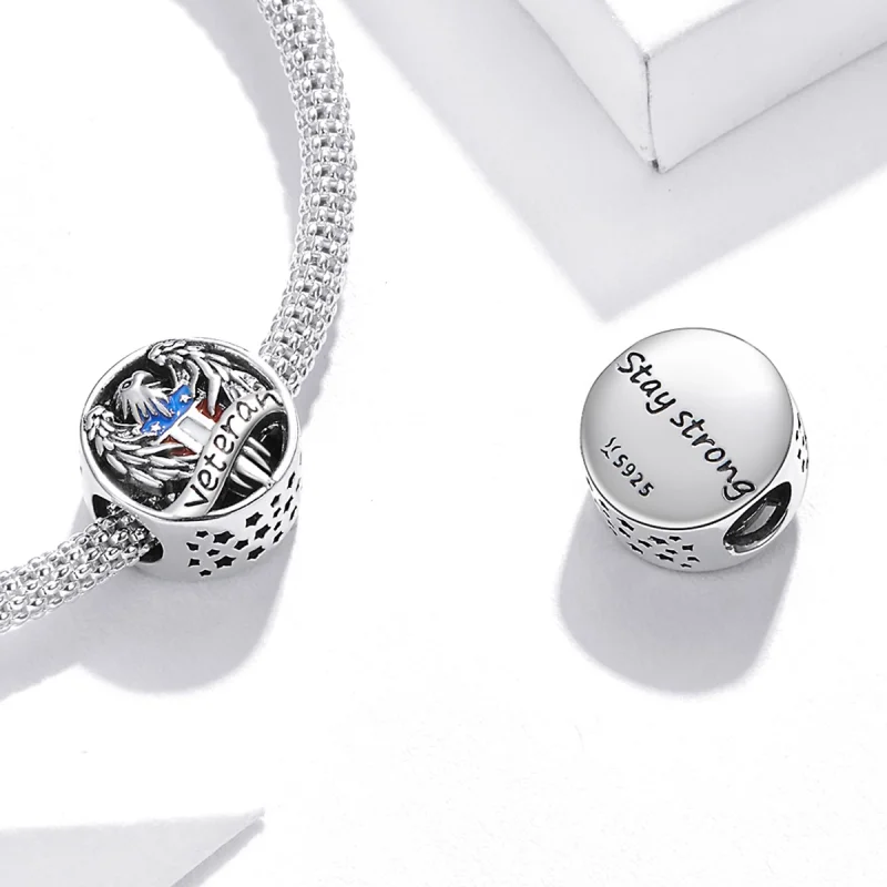 (image for) Pandora Style Silver Veteran Charm - SCC1885 - View 4