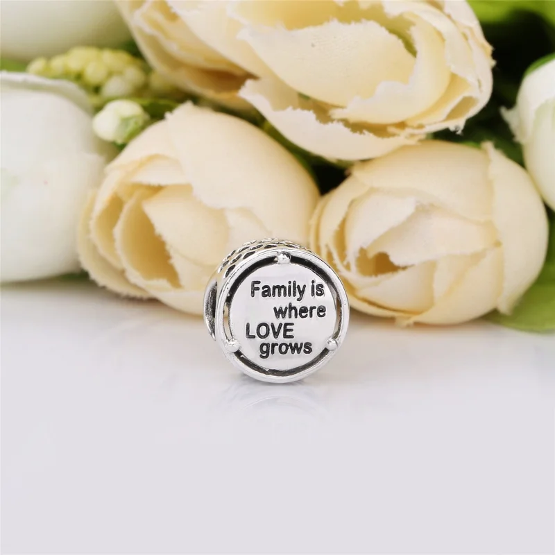 (image for) PANDORA Family Roots Charm - 797590 - View 3