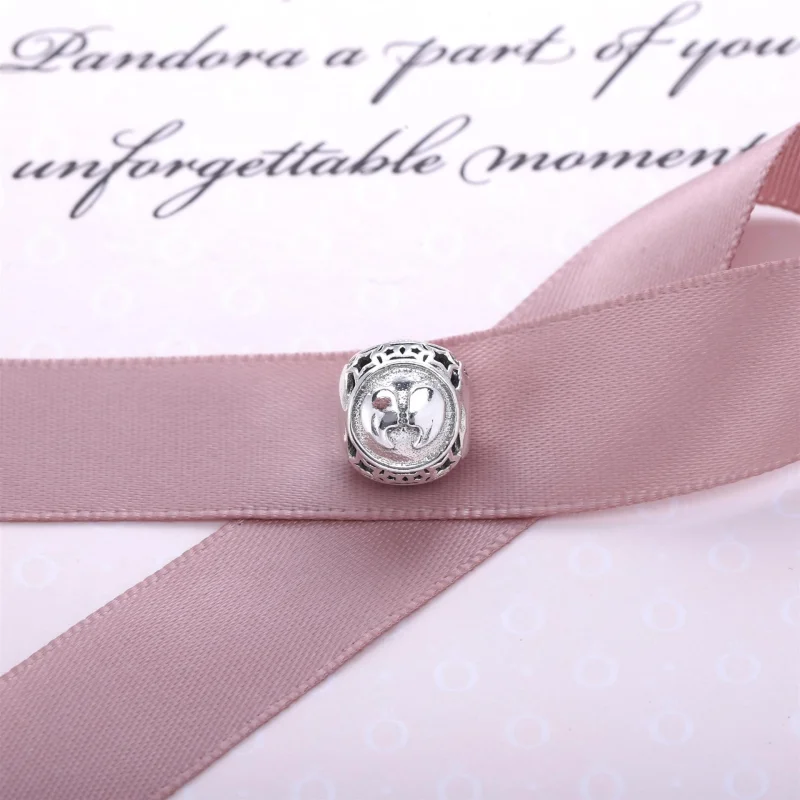 (image for) PANDORA Gemini Star Sign Charm - 791938 - View 3