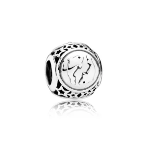 (image for) PANDORA Pisces Star Sign Charm - 791935
