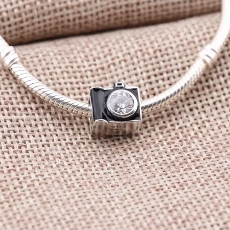 PANDORA Sentimental Snapshots Charm - 791709CZ