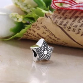 PANDORA Star Charm - PS0029-1 PANDORA Star Charm - PS0029-1