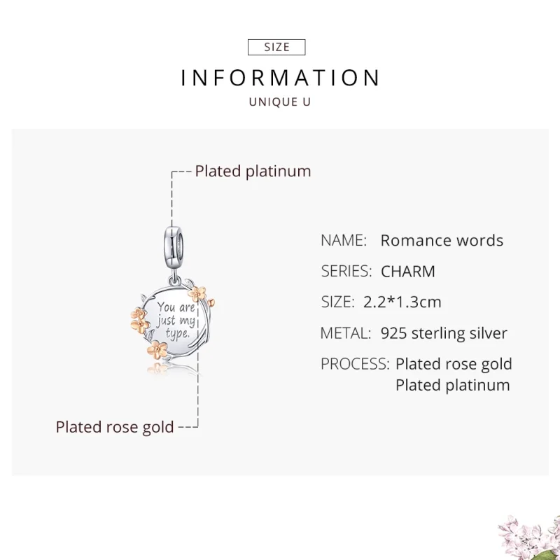 (image for) Pandora Style Two Tone Bicolor You Are Just My Type Dangle - BSC147 - View 7