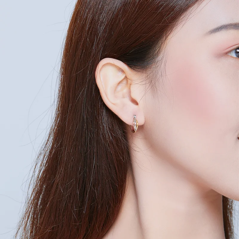 (image for) Pandora Style Bicolor Stud Earrings - SCE719 - View 6