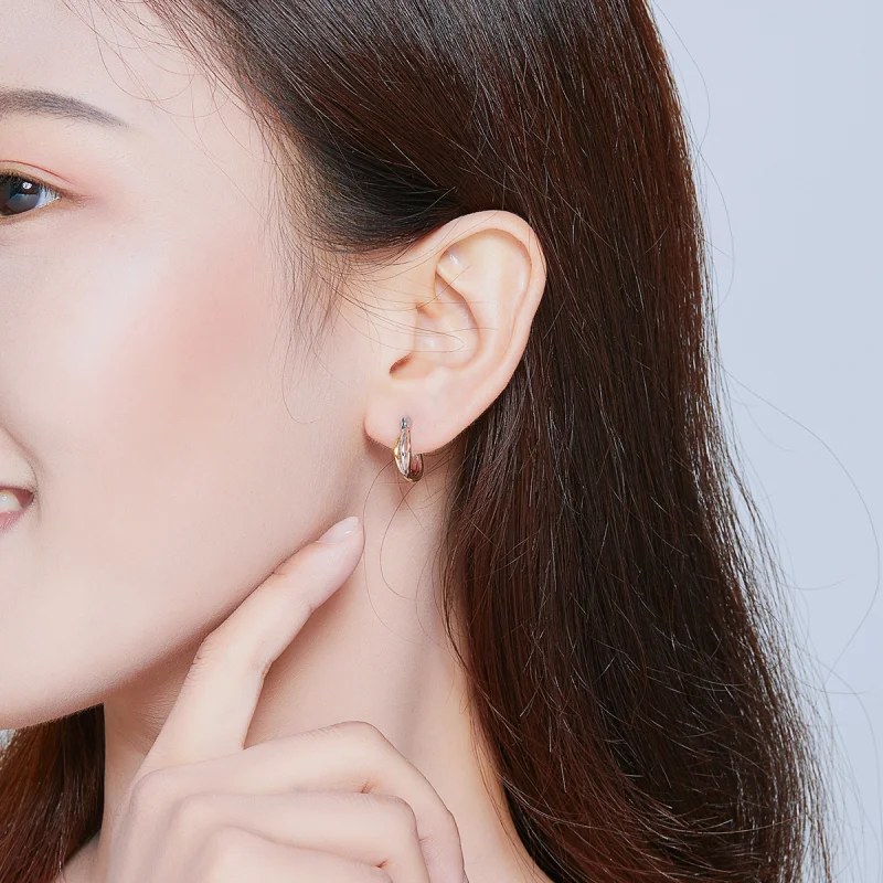 (image for) Pandora Style Bicolor Stud Earrings - SCE719 - View 8