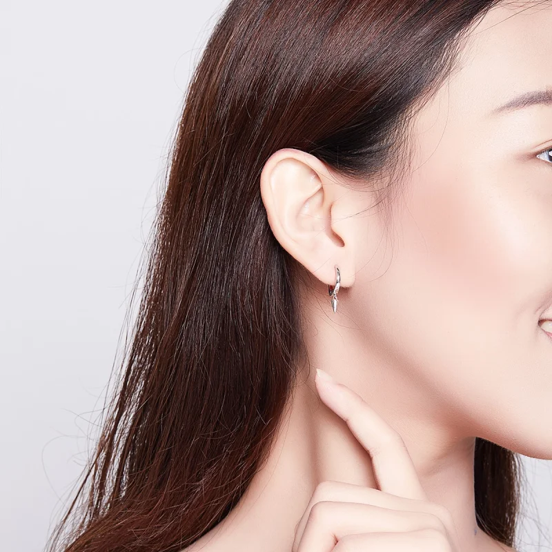 (image for) Pandora Style Silver Geometry Dangle Earrings - SCE744 - View 7