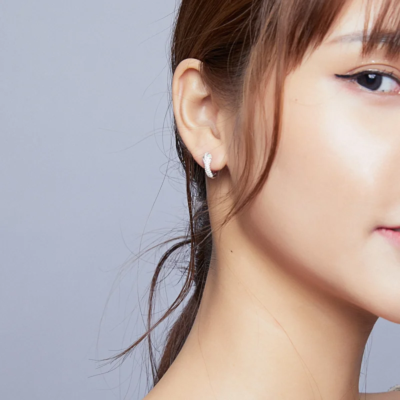 (image for) Pandora Style Silver Lovely Snake Hoop Earrings - SCE922 - View 7