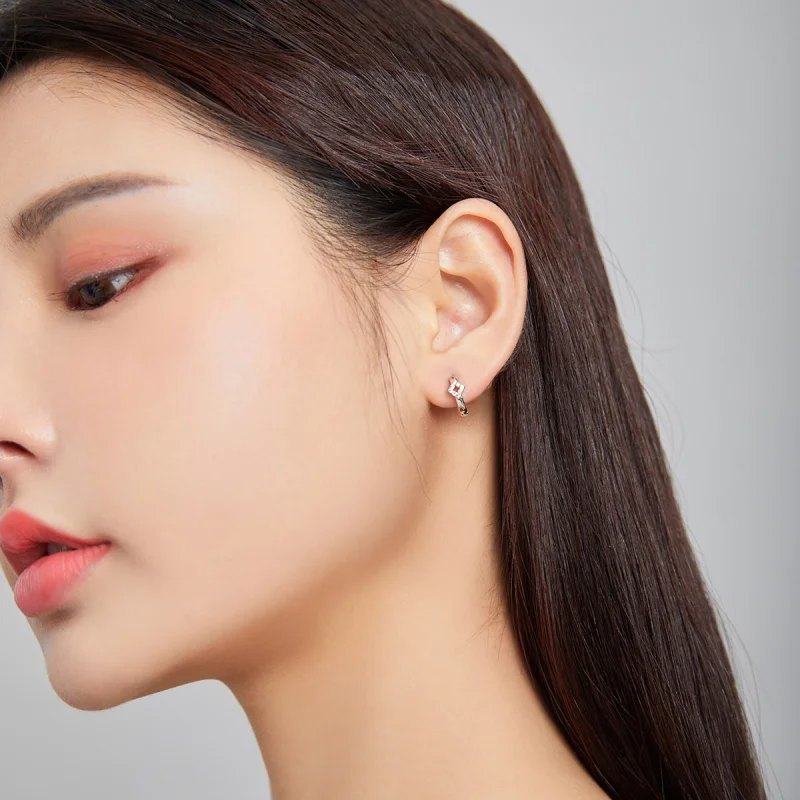 (image for) Pandora Style Silver Shining Diamond Hoop Earrings - SCE1048 - View 6