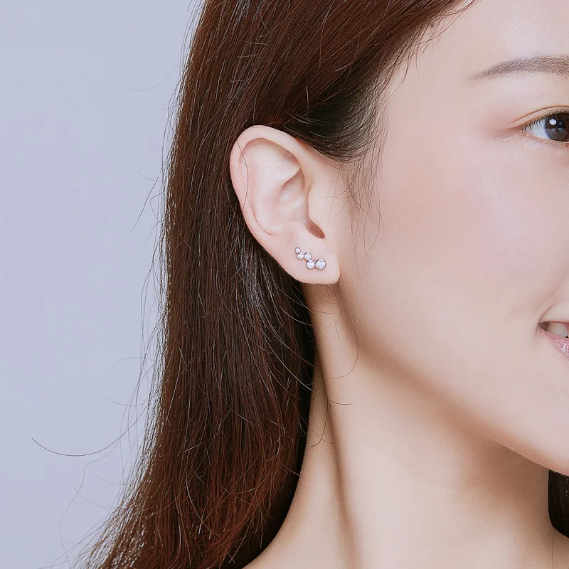 (image for) Pandora Style Silver Shiny Elegance Stud Earrings - BSE235 - View 6