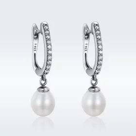 Pandora Style Silver Unique Charm Hanging Earrings - SCE194 Pandora Style Silver Unique Charm Hanging Earrings - SCE194