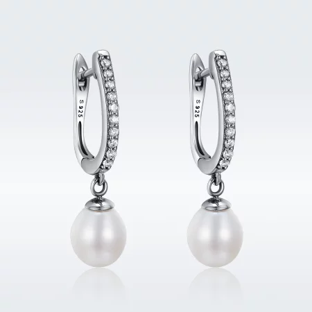 Pandora Style Silver Unique Charm Hanging Earrings - SCE194