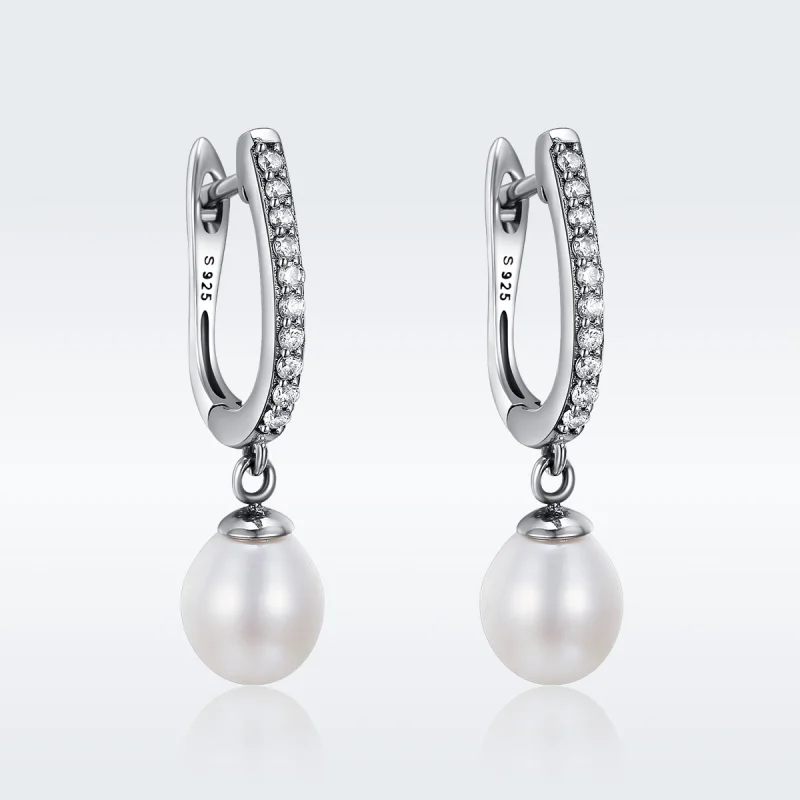 (image for) Pandora Style Silver Unique Charm Hanging Earrings - SCE194 - View 2