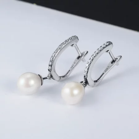 Pandora Style Silver Unique Charm Hanging Earrings - SCE194