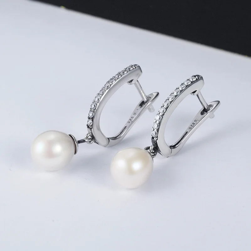 (image for) Pandora Style Silver Unique Charm Hanging Earrings - SCE194 - View 3