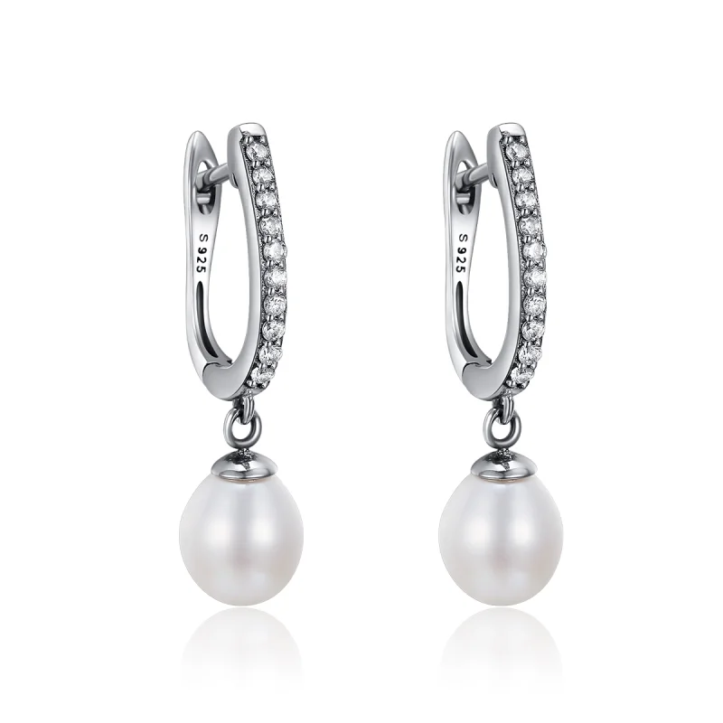 (image for) Pandora Style Silver Unique Charm Hanging Earrings - SCE194 - Product Image