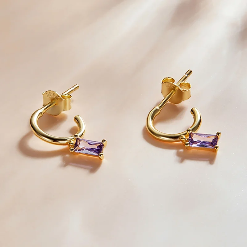 (image for) Pandora Style Bright Cubic Zirconium - Violet Hanging Earrings - SCE1242-VT - View 2