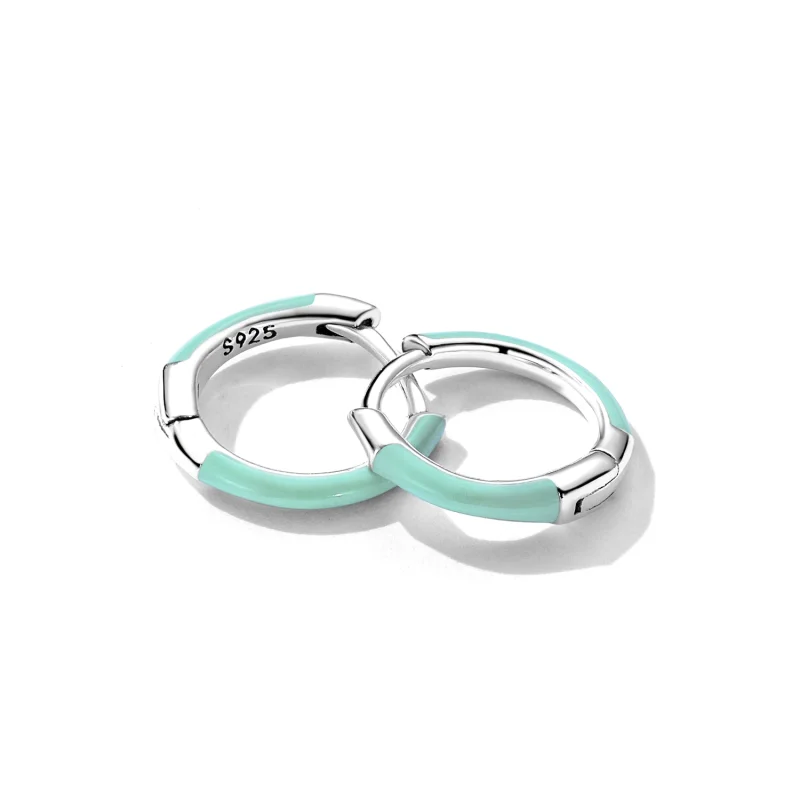 (image for) Pandora Style Double Circle Hoop Earrings - SCE1454 - View 3